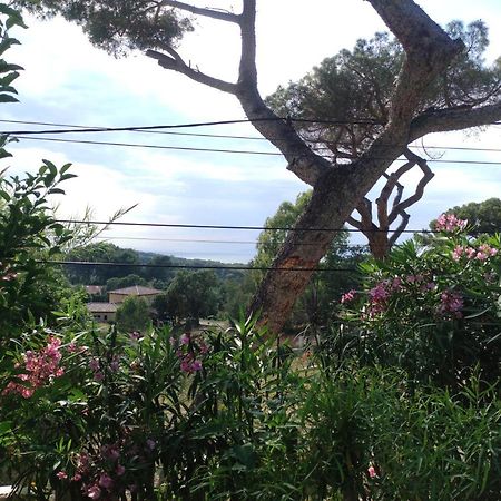 Studio Villa Le M Six-Fours-les-Plages Eksteriør bilde