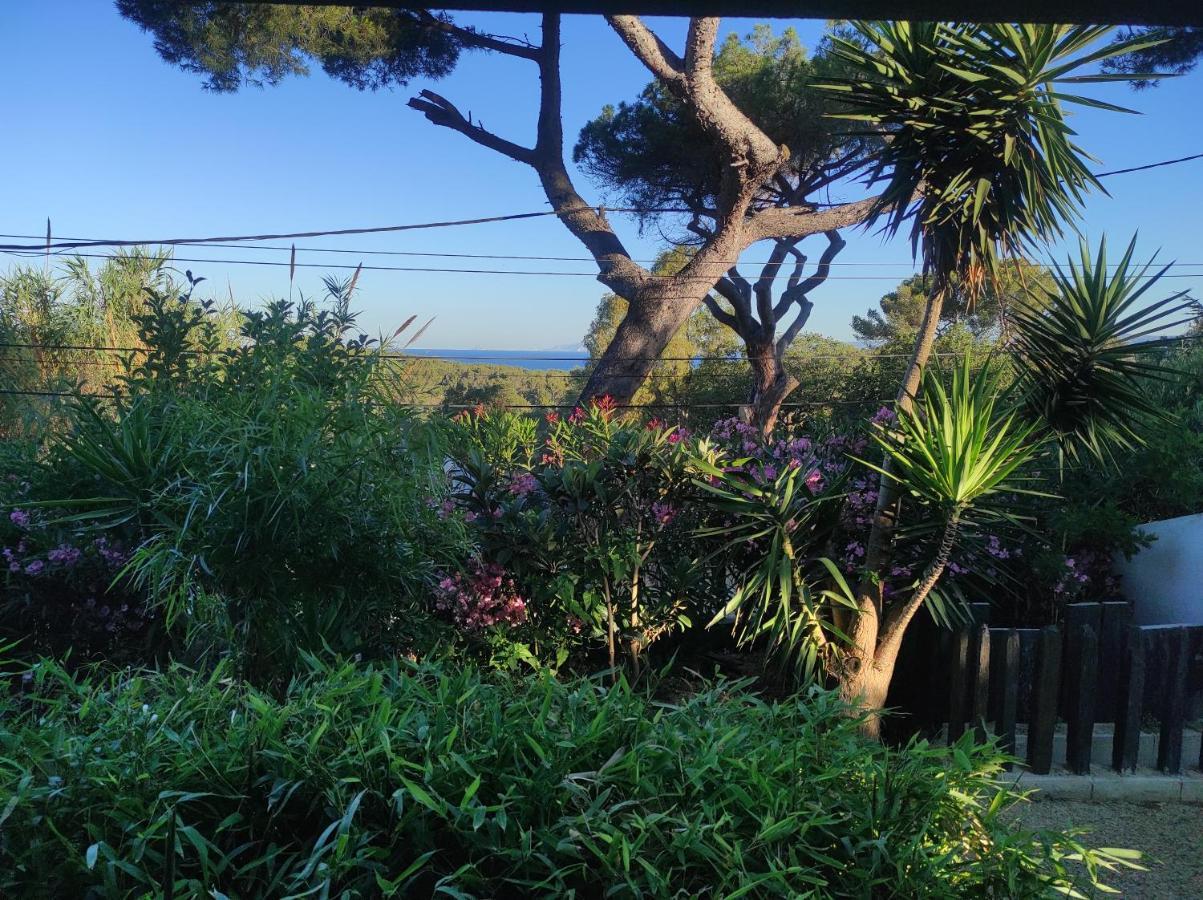 Studio Villa Le M Six-Fours-les-Plages Eksteriør bilde